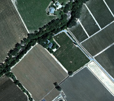 Aerial Imaging Improves Wine Grape Harvest