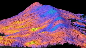 Due to the harsher environmental conditions, plant diversity is lower bluepurple on top of the mountain ridge and higher yelloworange at lower altitudes Credit UZH Due to the harsher environmental conditions, plant diversity is lower bluepurple on top of the mountain ridge and higher yelloworange at lower altitudes Credit UZH