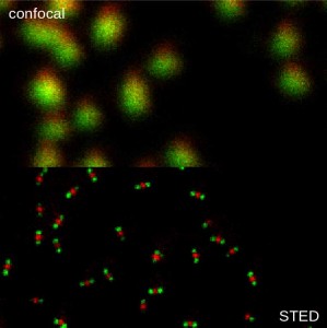 Be-Optical and PicoQuant Be-Optical and PicoQuant
