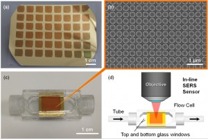 a The surface of the new drug sensor made from a flexible plastic sheet covered with gold domes b A close-up of the sensors surface taken with a scanning electron microscope SEM Each of the domes visible in the image is less than one millionth of a meter a The surface of the new drug sensor made from a flexible plastic sheet covered with gold domes b A close-up of the sensors surface taken with a scanning electron microscope SEM Each of the domes visible in the image is less than one millionth of a meter
