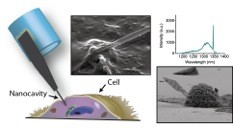 Engineers at Stanford University in California US have developed the first light-emitting probesnanobeams