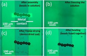 After using optoelectronic tweezers to assemble a line of solder beads a, the researchers froze the liquid b and then reduced the pressure so that the frozen liquid turned directly from a solid into a gas, drying out the device c They then heated the bead After using optoelectronic tweezers to assemble a line of solder beads a, the researchers froze the liquid b and then reduced the pressure so that the frozen liquid turned directly from a solid into a gas, drying out the device c They then heated the bead