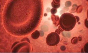 Blood Cell Counting Blood Cell Counting