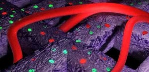 3D bioprinting 3D bioprinting