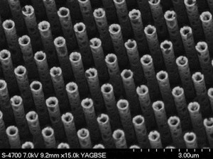 In the future, tiny cellular implants are to be in direct contact with the nervous system Possible applications ocular implants or treatment of nerve injuries In the future, tiny cellular implants are to be in direct contact with the nervous system Possible applications ocular implants or treatment of nerve injuries