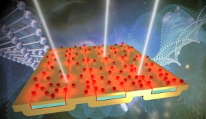 A new device for surface enhanced infrared absorption spectroscopy Infrared light the white beams is trapped by tiny gaps in the metal surface, where it can be used to detect trace amounts of matter Credit University at Buffalo A new device for surface enhanced infrared absorption spectroscopy Infrared light the white beams is trapped by tiny gaps in the metal surface, where it can be used to detect trace amounts of matter Credit University at Buffalo