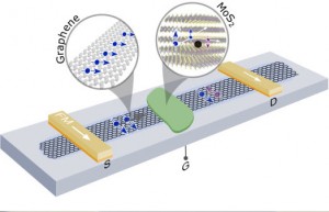 The experiment setup consists of a heterostructure of graphene and molybdenum disulphide a spintronic device By applying a gate voltage, it is possible to control whether the current that passes will include any spin signal or not The experiment setup consists of a heterostructure of graphene and molybdenum disulphide a spintronic device By applying a gate voltage, it is possible to control whether the current that passes will include any spin signal or not