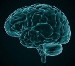 Imaging Technique Helps Traumatic Brain Injury Patients Imaging Technique Helps Traumatic Brain Injury Patients