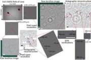 UCLAs research breakthrough could enable detection and imaging of individual viral particles even in field conditions