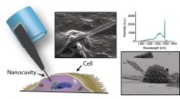 Engineers at Stanford University in California US have developed the first light-emitting probesnanobeams