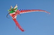 Shanghai, China, dragon
