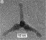 Quantum Materials Announces Cadmium-Free Tetrapod Quantum Dots