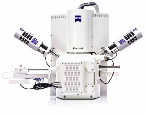 Zeiss Sigma