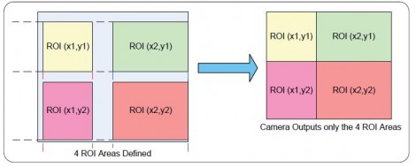 The concept of ROI