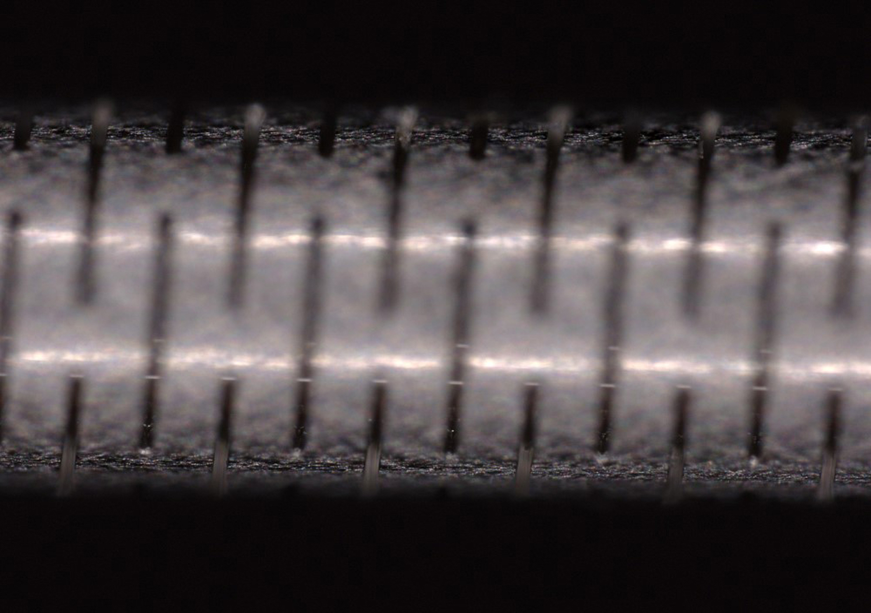 Image with simple depth of field - the focal plane lies on the lower radius of the tube