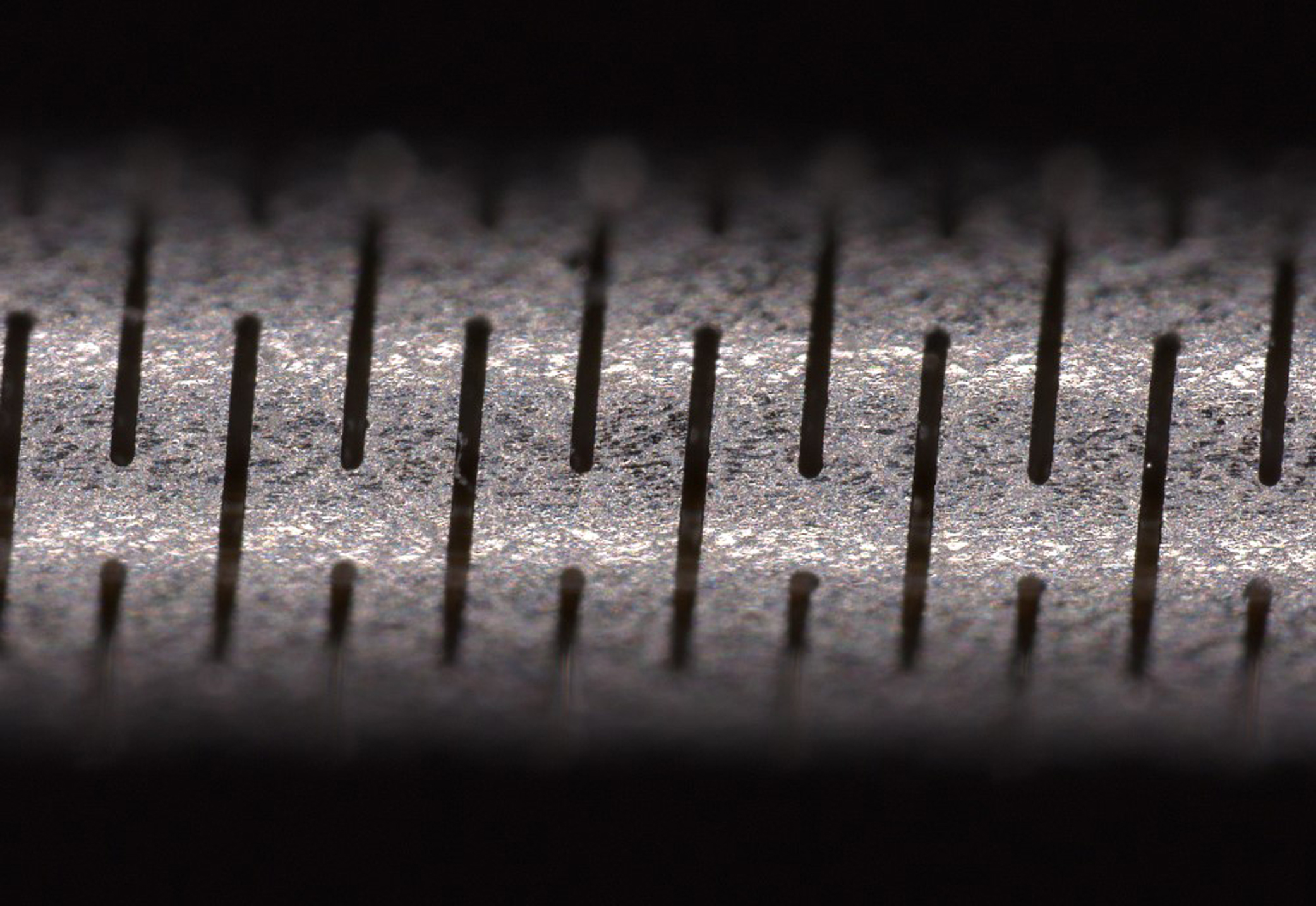 Image with simple depth of field - the focal plane is at the upper edge of the tube