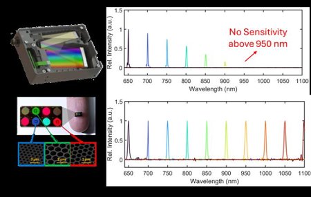 While standard, bulky spectrometers lose sensitivity in the near infrared (top), this new miniature chip uses specialized surface textures and AI to detect signals that are normally invisible (bottom). The data demonstrate this performance boost, showing clear detection peaks beyond 950 nanometers, while conventional silicon devices plateau. This innovation enables a sensor smaller than a millimeter to perform complex light analysis that was previously possible only with bulky laboratory equipment. Credit: Ahamed et al., doi 10.1117/1.AP.8.1.016008