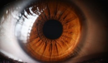 OCT Detects Parkinson's Disease up to Seven Years Before Diagnosis
