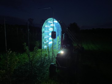 UV Light Kills Fire Blight in Apple Blossoms Without Antibiotics