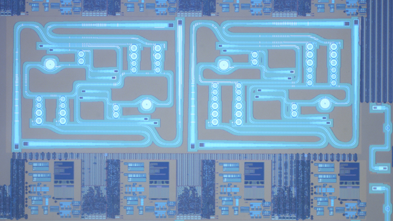 A close-up image of the chip. Because the chip uses built-in feedback to stabilize itself, it behaves predictably despite temperature changes and fabrication variations ï¿½