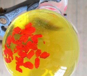 The molecular ruby in a solid red and dissolved yellow state can be used for contactless measurement of temperature Photo by Sven Otto The molecular ruby in a solid red and dissolved yellow state can be used for contactless measurement of temperature Photo by Sven Otto
