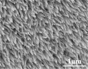 Nanostructures on an artificial bug eye resemble a shag carpet when viewed with a powerful microscope Credit American Chemical Society Nanostructures on an artificial bug eye resemble a shag carpet when viewed with a powerful microscope Credit American Chemical Society