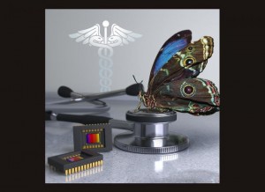 Researchers developed a new camera that mimics the visual system of the morpho butterfly The butterflys eyes contain nanostructures that sense multispectral information, providing an ideal way to acquire both near-infrared and color information simultaneo Researchers developed a new camera that mimics the visual system of the morpho butterfly The butterflys eyes contain nanostructures that sense multispectral information, providing an ideal way to acquire both near-infrared and color information simultaneo