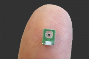 The new sensor can be implanted in the brain to monitor electrical activity or light emitted by luminescent proteins The new sensor can be implanted in the brain to monitor electrical activity or light emitted by luminescent proteins