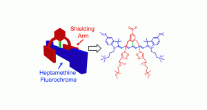 Wiley-VCH, CreditAngewandte Chemie