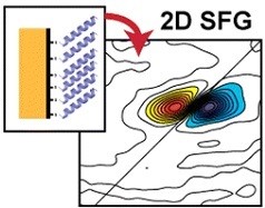 Researchers Measure 2D Sum-Frequency Generation Spectrum of a Peptide ...