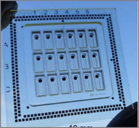 organ on a chip