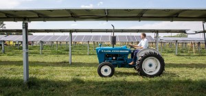 Byron Kominek, owner of Jacks Solar Garden, riding his familys tractor through their solar power system Photo courtesy of Werner Slocum, National Renewable Energy Laboratory Byron Kominek, owner of Jacks Solar Garden, riding his familys tractor through their solar power system Photo courtesy of Werner Slocum, National Renewable Energy Laboratory