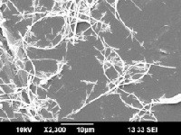 Aspirable fibres Aspirable fibres