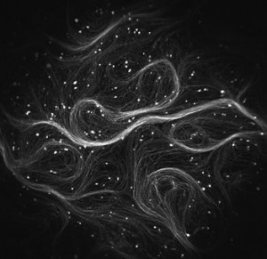 The new Firefly microscope is optimized to perform optogenetic studies examining many neurons at once Each bright spot here represents a neuron from a genetically modified mouseImage Credit Vaibhav Joshi, Harvard University The new Firefly microscope is optimized to perform optogenetic studies examining many neurons at once Each bright spot here represents a neuron from a genetically modified mouseImage Credit Vaibhav Joshi, Harvard University