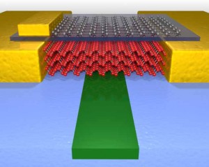 The high-performance photodetector Photo Credit College of Science and Engineering The high-performance photodetector Photo Credit College of Science and Engineering