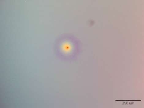 Figure 2a