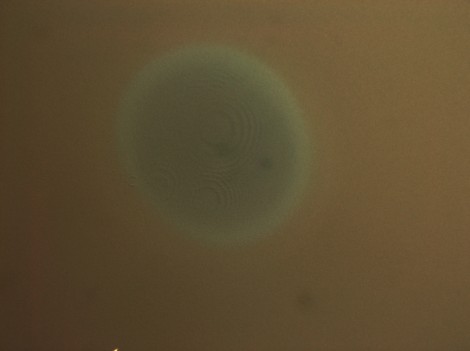 Figure 2b
