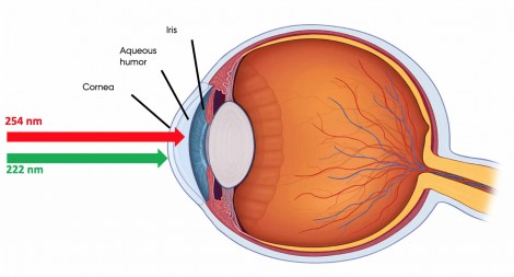 eye safety