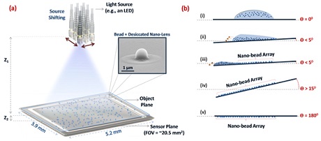 Fluorescent labels and light microscopy