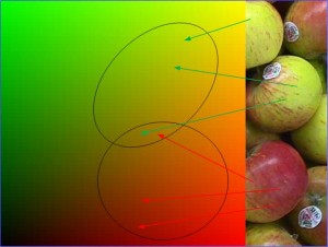 Color space left with representative ellipses showing the area of generalization of colors learned from red and green apples Color space left with representative ellipses showing the area of generalization of colors learned from red and green apples