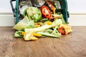 food waste