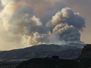 Forest Fire Forest Fire