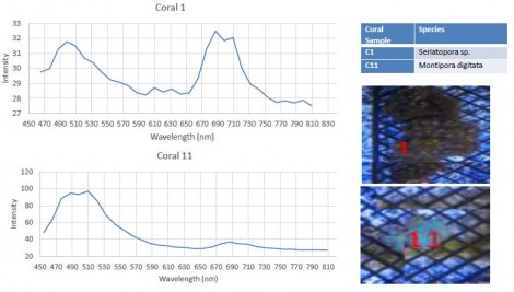 hyperspectral