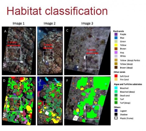 classification