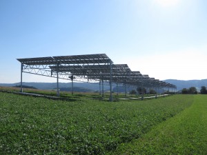 Agrophotovoltaics Agrophotovoltaics