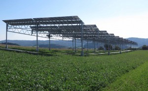 Agrivoltaics