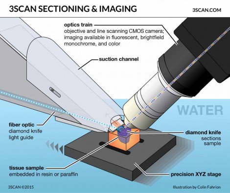 KESM illustration