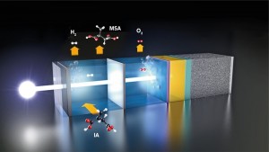 Green hydrogen How photoelectrochemical water splitting may become competitive The photoelectrochemical cell Sunlight generates a photovoltage in the catalyst-coated solar cell right, which splits water molecules Hydrogen is produced at the left electrode
