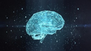 brain research