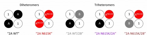 Figure3LOWER